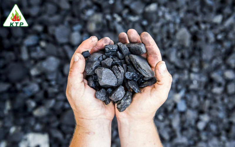 Than đá được hình thành từ quá trình tích tụ tàn dư của các loài thực vật thời tiền sử