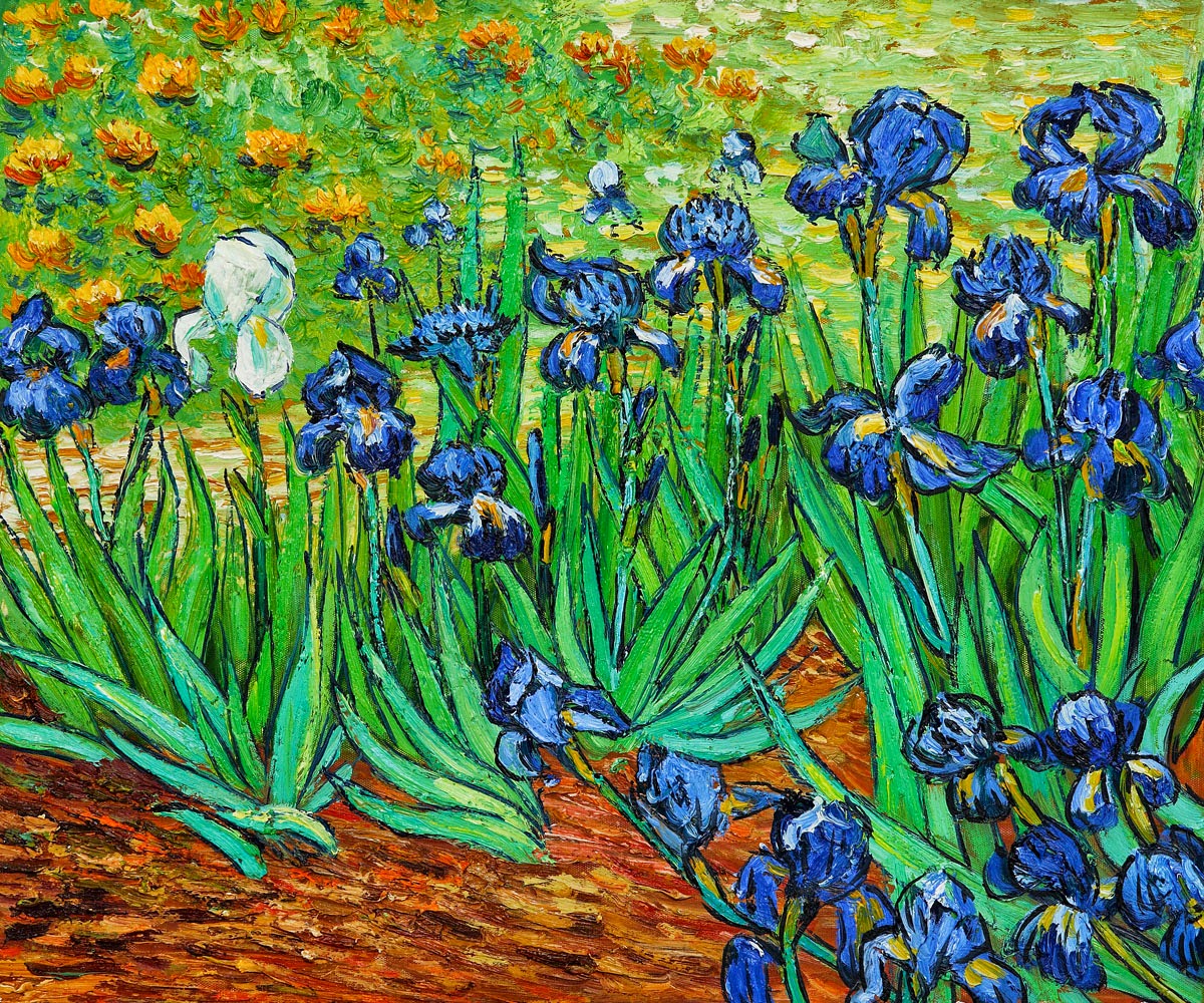 Hoa diên vĩ IRISES – Vincent Van Gogh