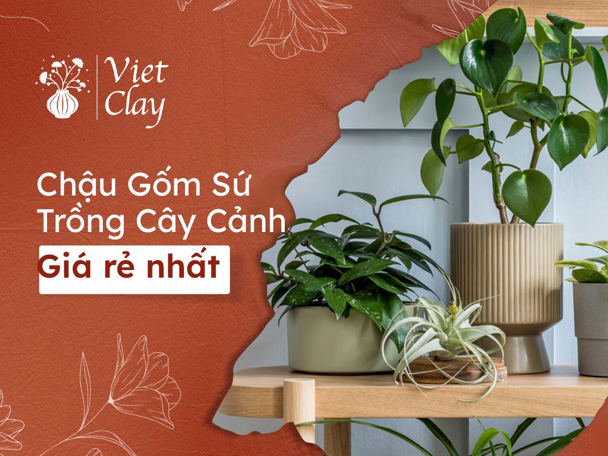 GIÁ CHẬU GỐM SỨ TRỒNG CÂY CẢNH (RẺ 2022)