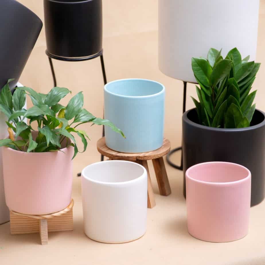 Giá Chậu Gốm Sứ Trồng Cây Cảnh (Rẻ 2023)