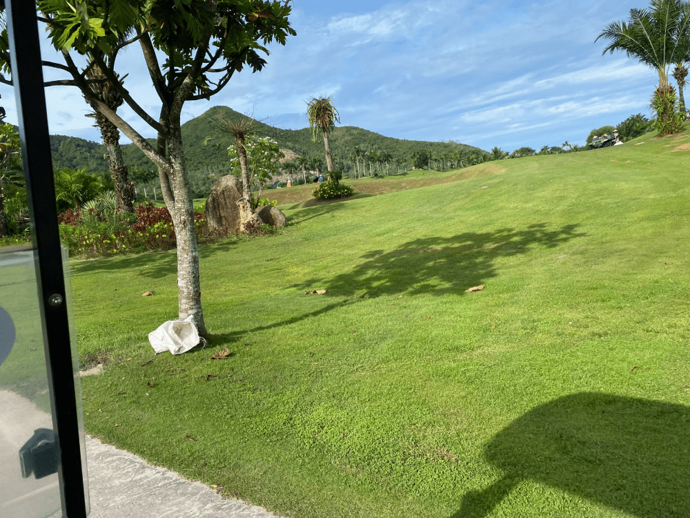 chọn thiết bị chơi golf phù hợp để bảo vệ cỏ