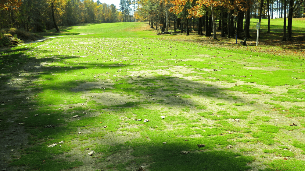 Bảo trì hàng ngày giúp sân golf của bạn phát triển như thế nào