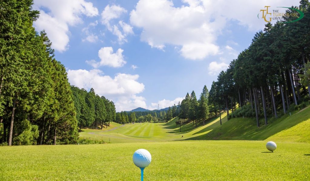 Biến đổi khí hậu ảnh hưởng đến việc quản lý cỏ trên sân golf