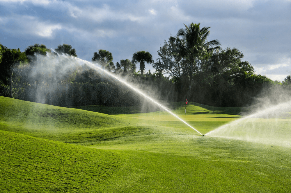Biến đổi khí hậu ảnh hưởng đến việc quản lý cỏ trên sân golf