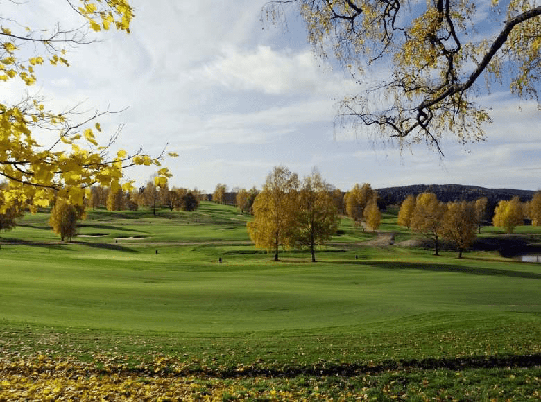 Cách duy trì Fairways xanh tươi bằng cách bón phân vào mùa đông
