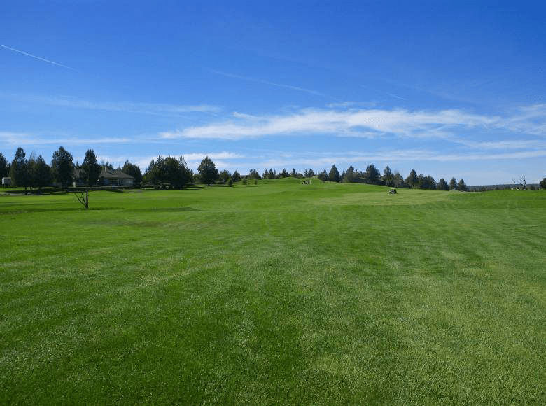 Cách duy trì Fairways xanh tươi bằng cách bón phân vào mùa đông