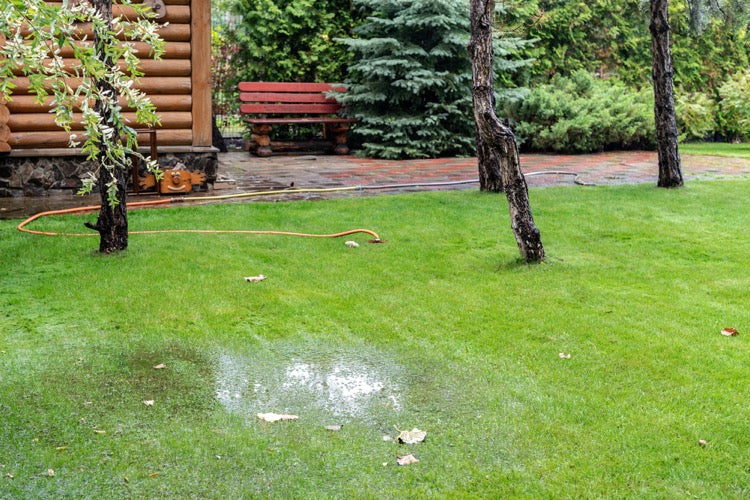 Cách khắc phục đất bị nén chặt