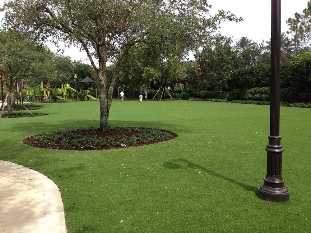 lá cây trên sân golf