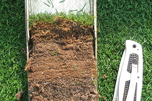 Cách xác định sự tích tụ lớp mùn