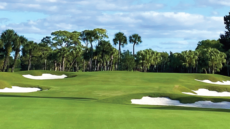 cải tạo đường golf