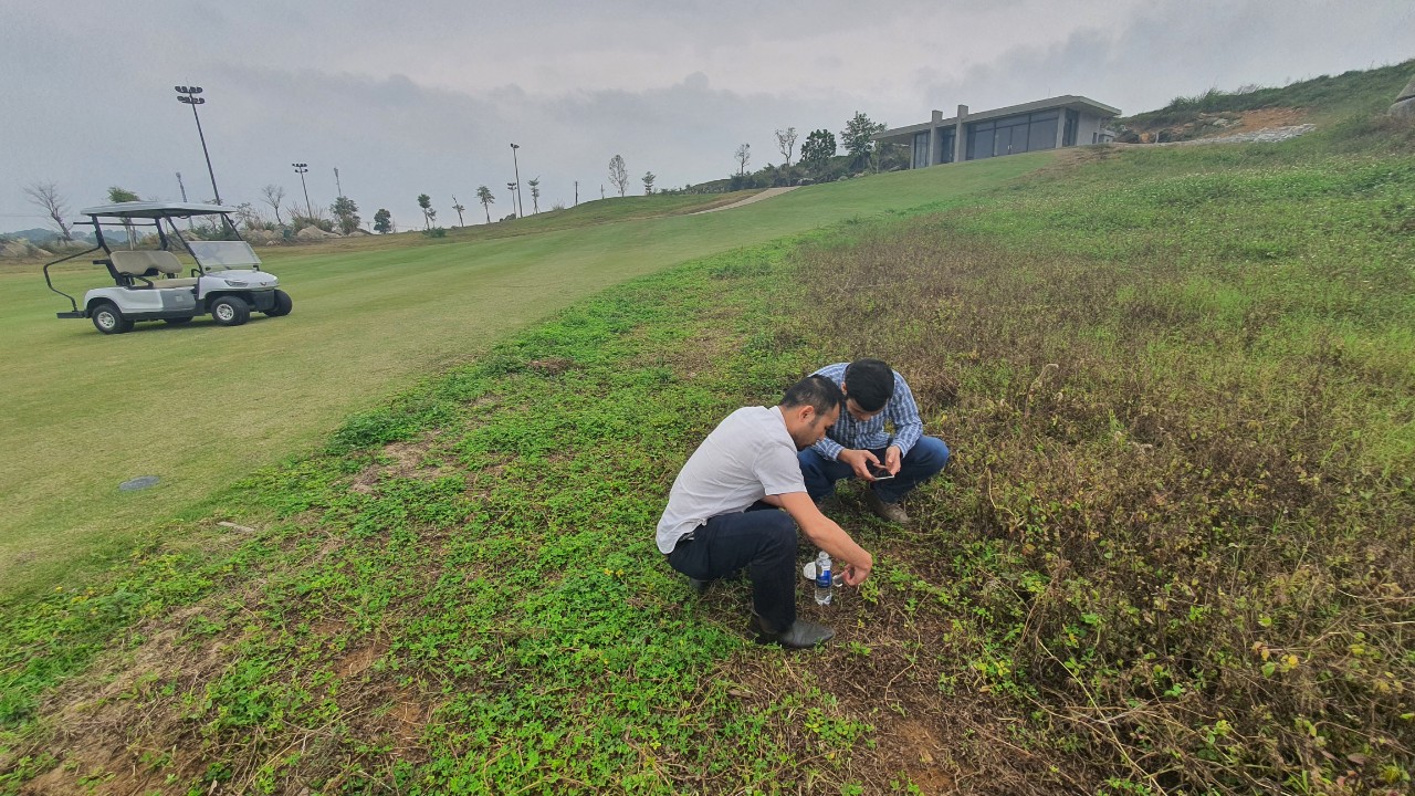 kiểm tra cỏ nhân tạo sân golf