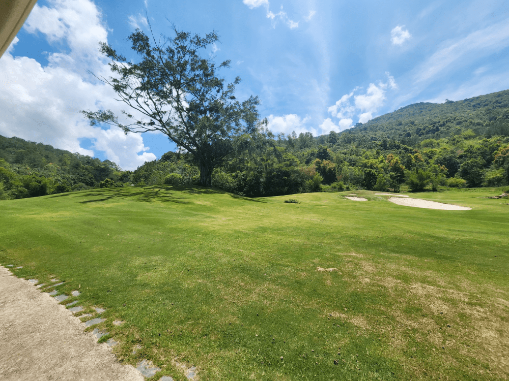 cỏ sân golf