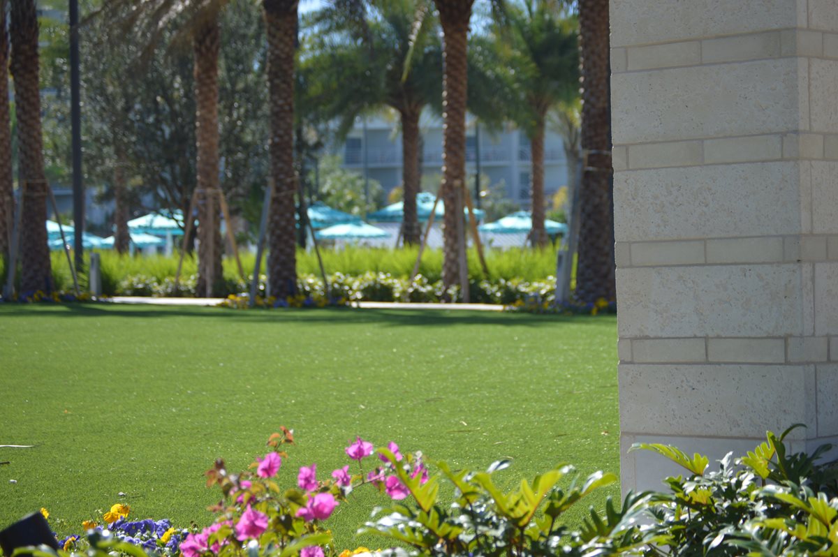 bảo dưỡng cỏ sân golf