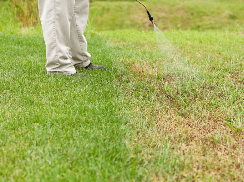 Kỹ thuật kiểm soát cỏ dại mùa thu cần thiết cho sân golf | CÔNG TY TNHH T&C HÙNG ANH