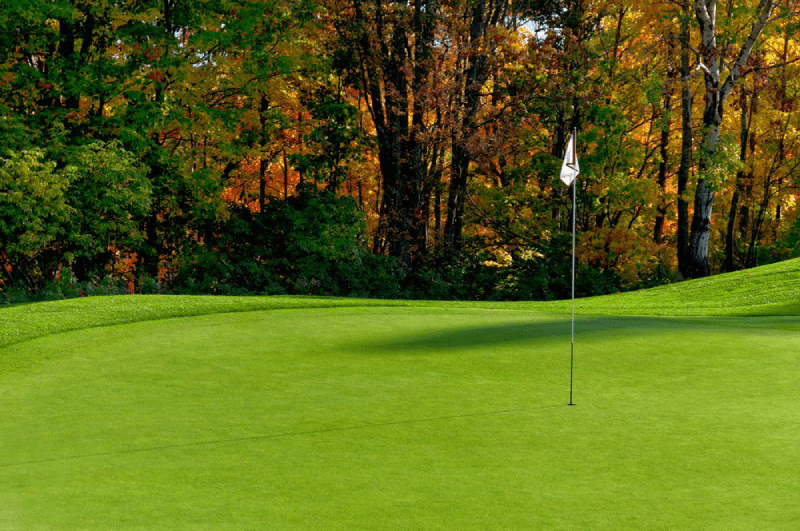 Lựa chọn và duy trì loại cỏ tốt nhất cho sân golf của bạn