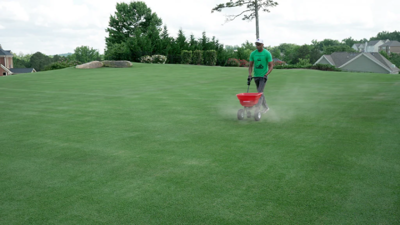 Quản lý cỏ cắt hiệu quả để có sân golf khỏe mạnh hơn