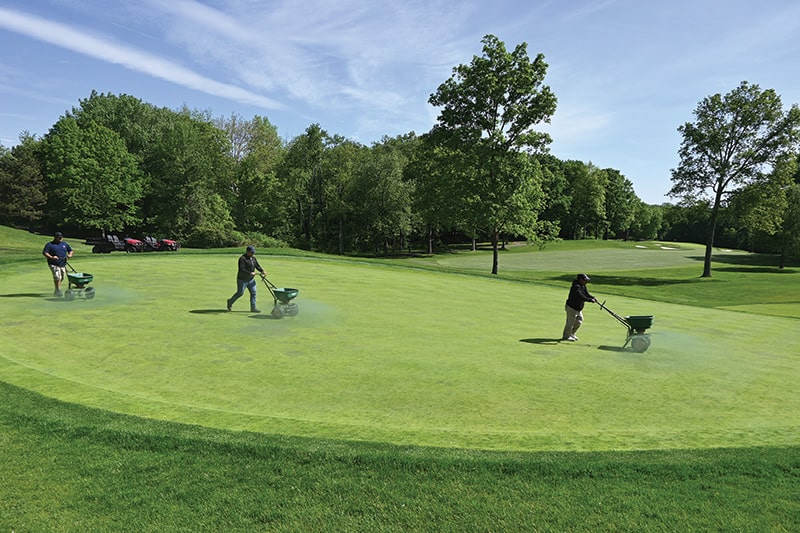tiêu chuẩn và thực hành bảo dưỡng sân golf theo thời gian