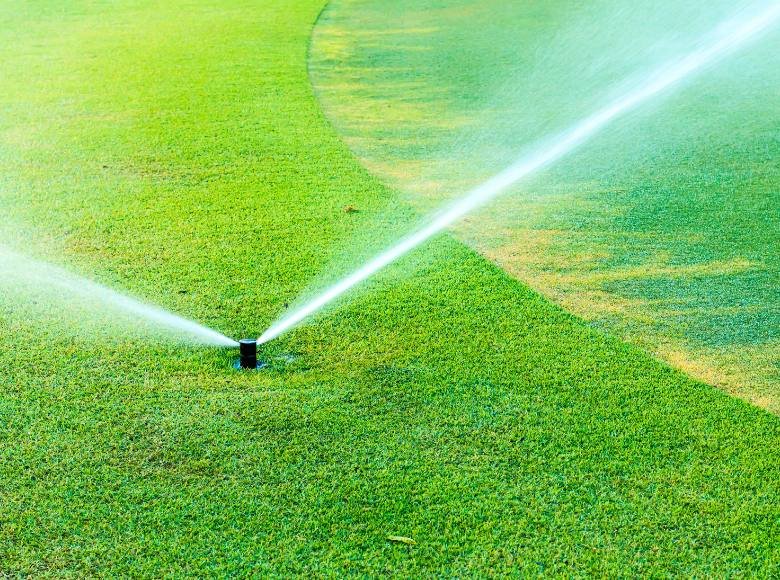 Vai trò của nước trong quản lý sân golf