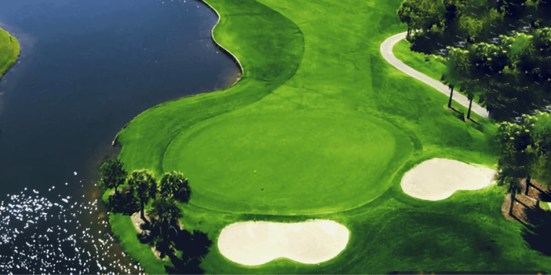 Vai trò của thực vật bản địa trong việc tăng cường quản lý nước trên sân golf