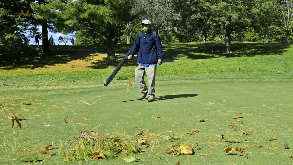 Xử lý rác mùa thu trên sân golf