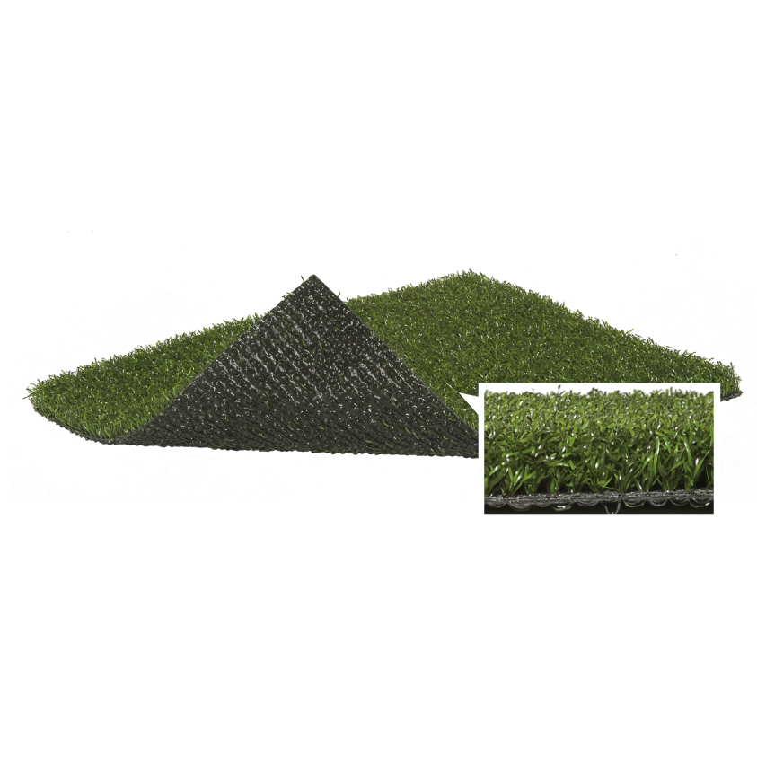 Cỏ STI BENT GRASS