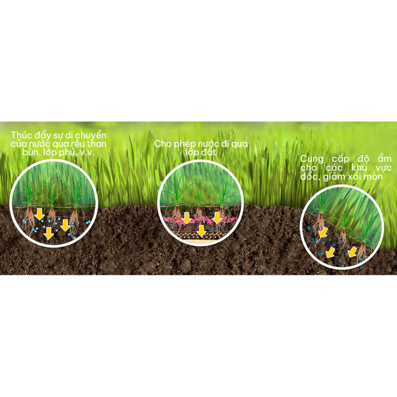 Chất làm ướt, giữ ẩm Penterra