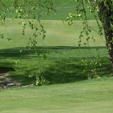 Thuốc diệt cỏ dại cho sân golf Facet 25SC 250ml