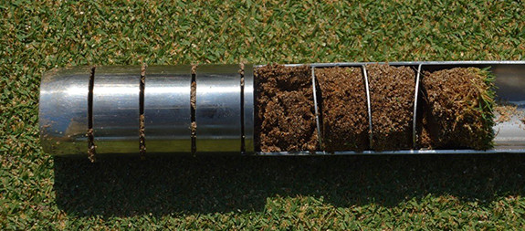 Phân tích cỏ sân golf