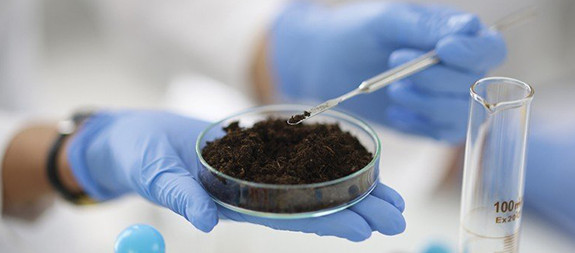 Phân tích đất sân golf