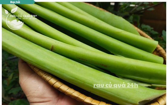 Review Bạc Hà - Dọc mùng