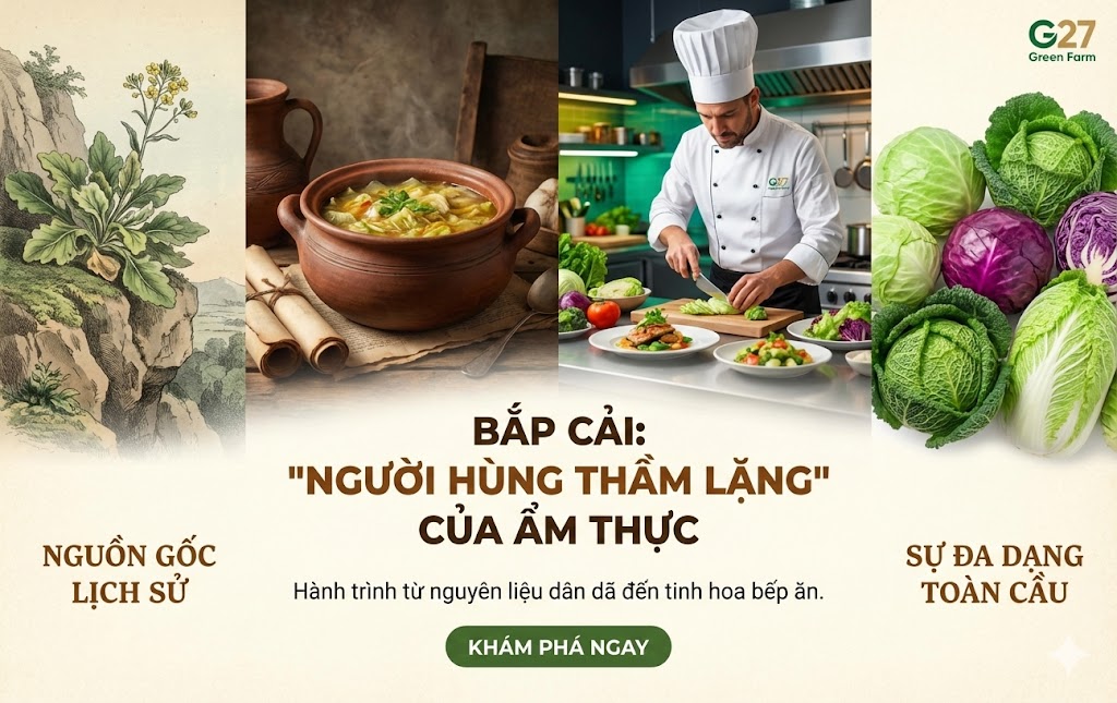 Khám Phá Thế Giới Bắp Cải
