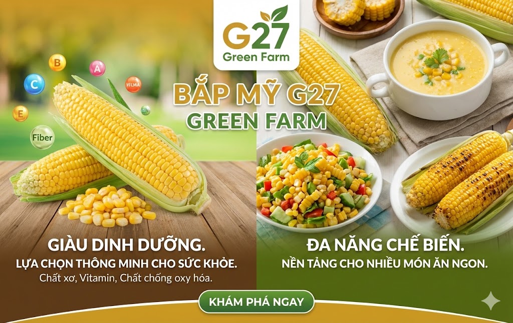 Bắp mỹ - g27 green farm