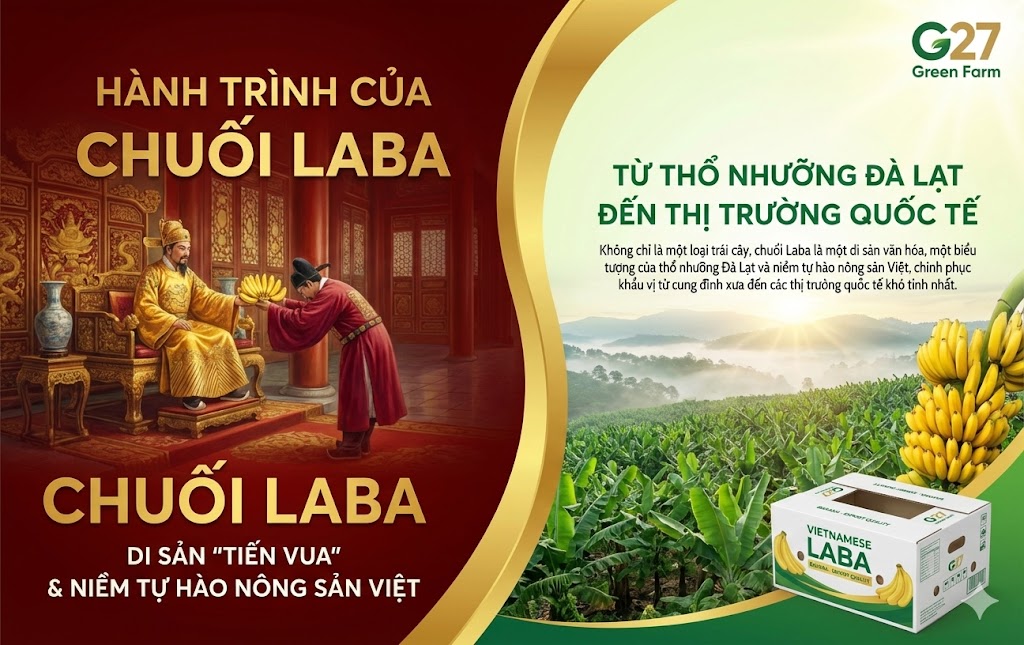Chuối Laba Đà Lạt