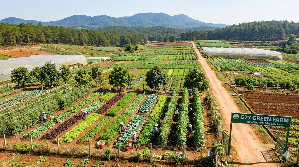 Giới thiệu về G27 Green Farm