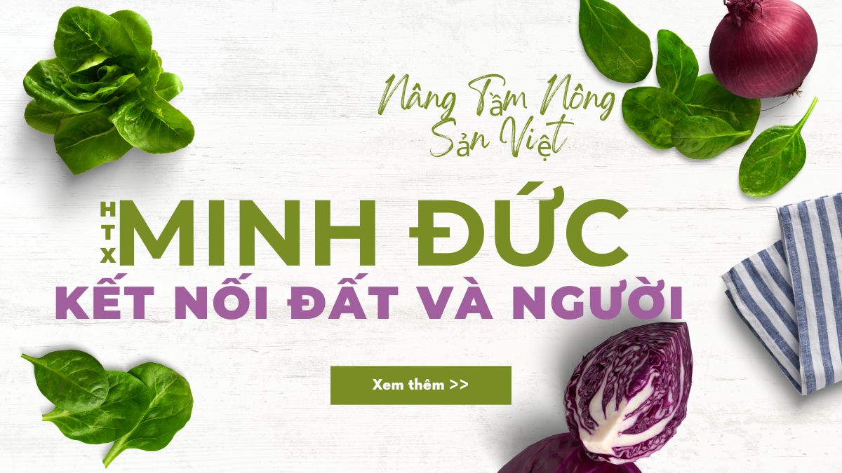 Hợp tác xã Minh Đức