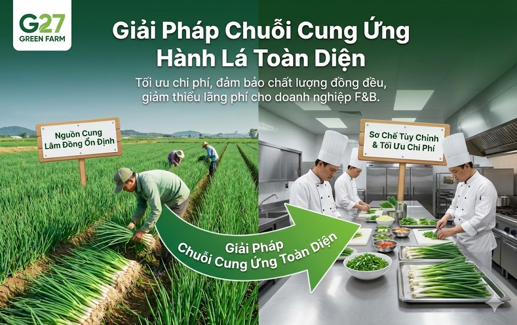 Giải pháp cung ứng chuỗi hành lá chuyên nghiệp từ G27 Green Farm