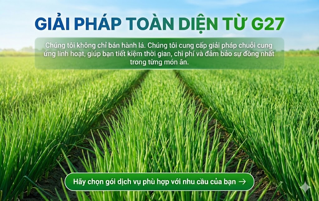 Cung cấp hành lá sỉ với giá vườn