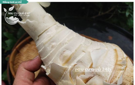 Review Măng tươi sơ chế