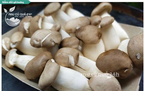 Review Nấm đùi gà Baby