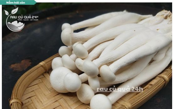 Review Nấm Hải sản, nấm bạch tuyết