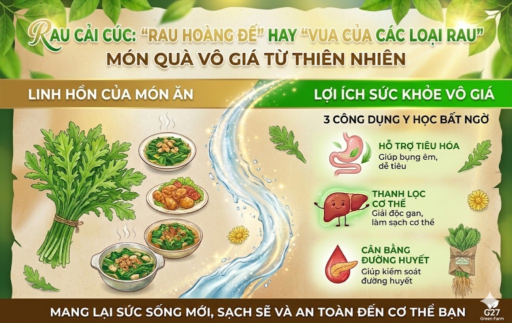 Rau Cải cúc (tần ô) được ví von là 