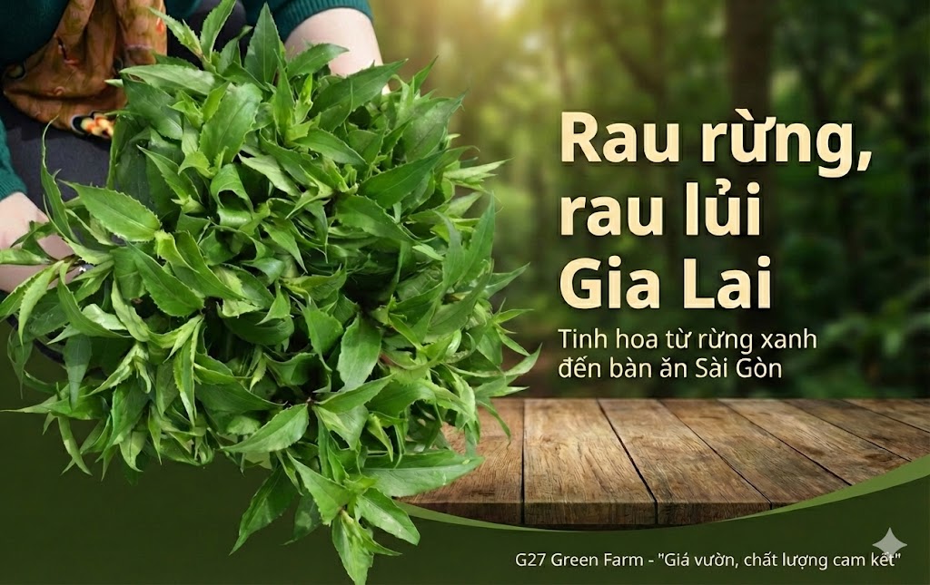 Rau rừng Gia lai - G27 Green Farm