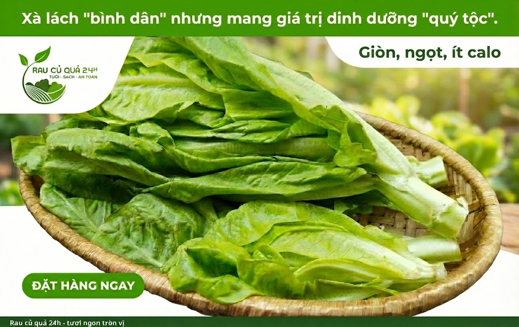 Rau xà lách diếp G27 Green Farm