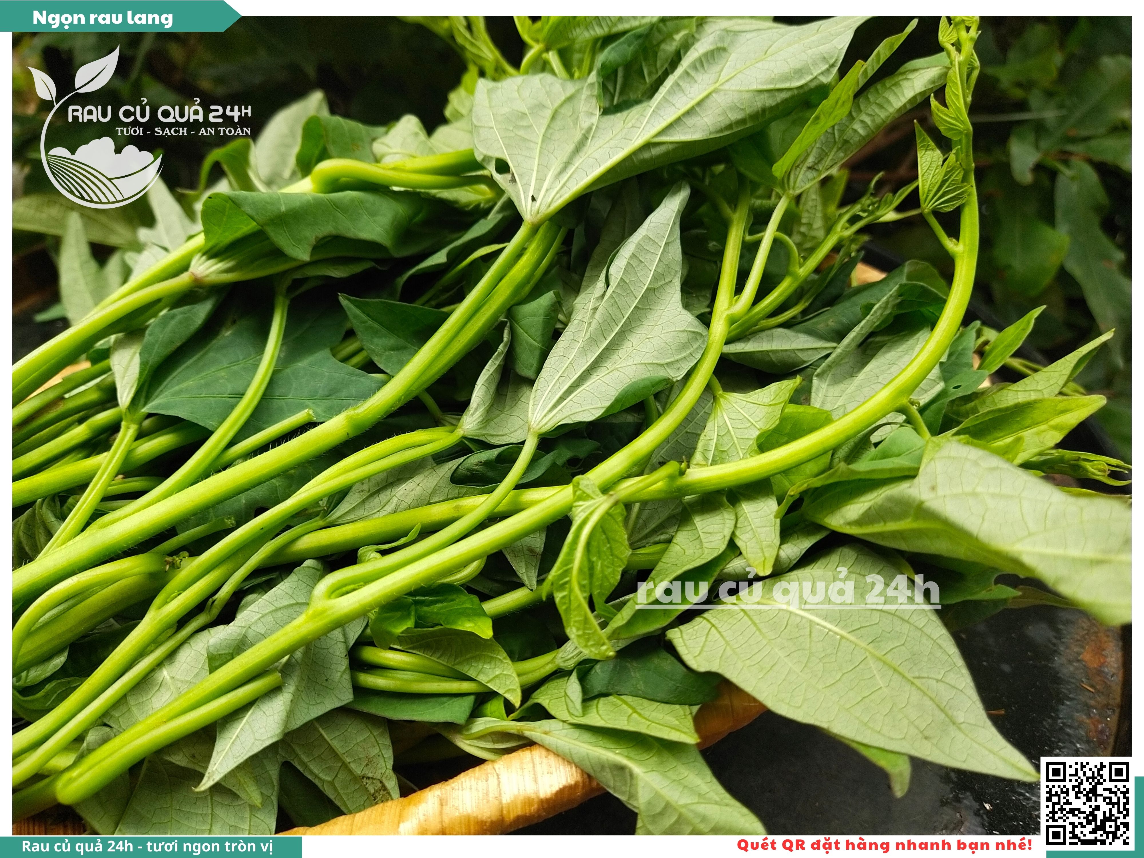 Ngọn rau lang | Rau củ quả 24h