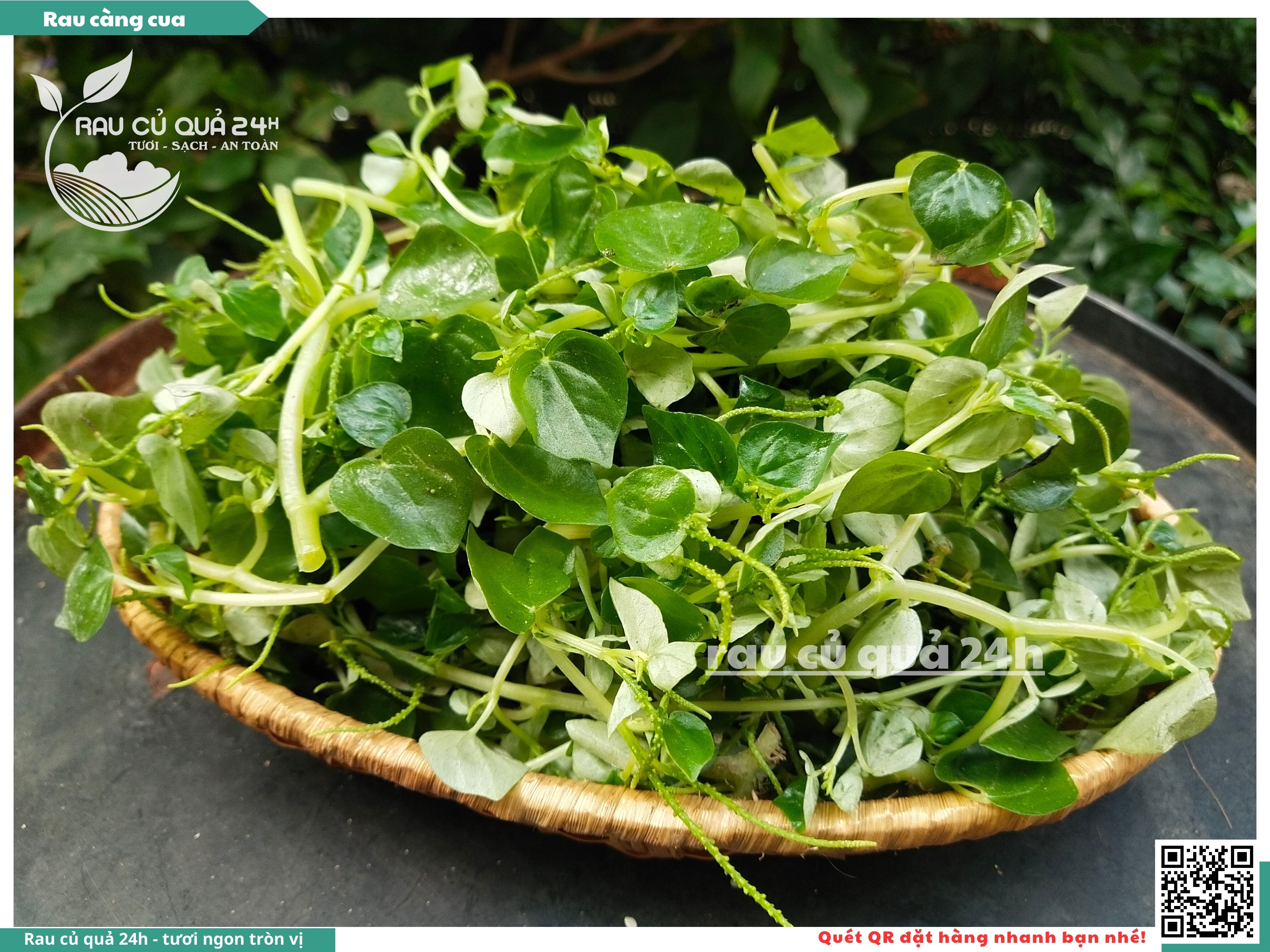 Cua Rau Rau càng cua | Rau củ quả 24h