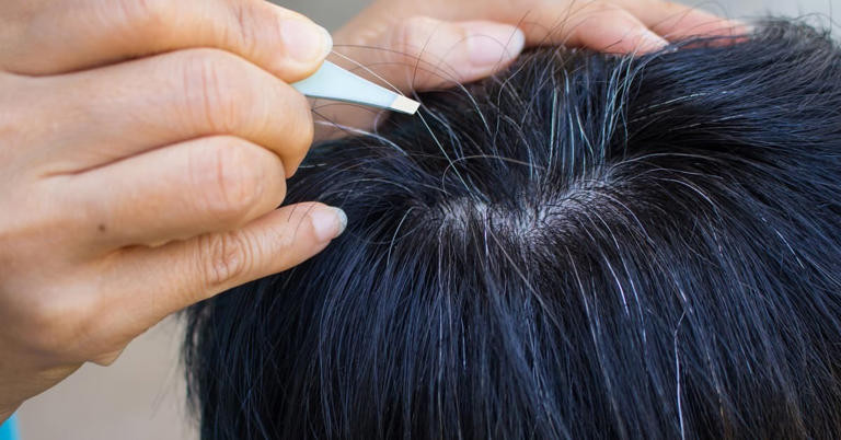 7 thói quen khiến tóc bạc nhiều hơn tóc đen