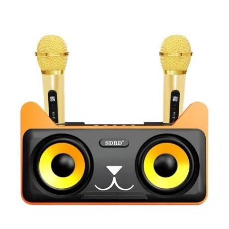 Loa karaoke kèm mic