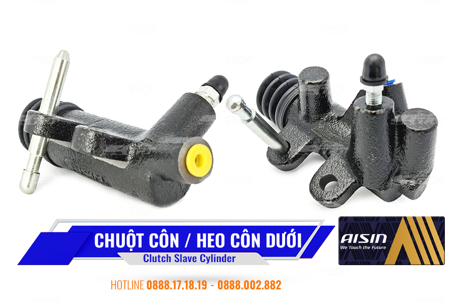 Heo Côn Dưới / Chuột Côn AISIN