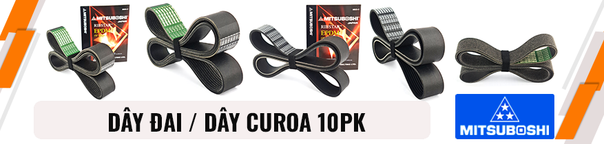 dây đai / dây curoa 10pk