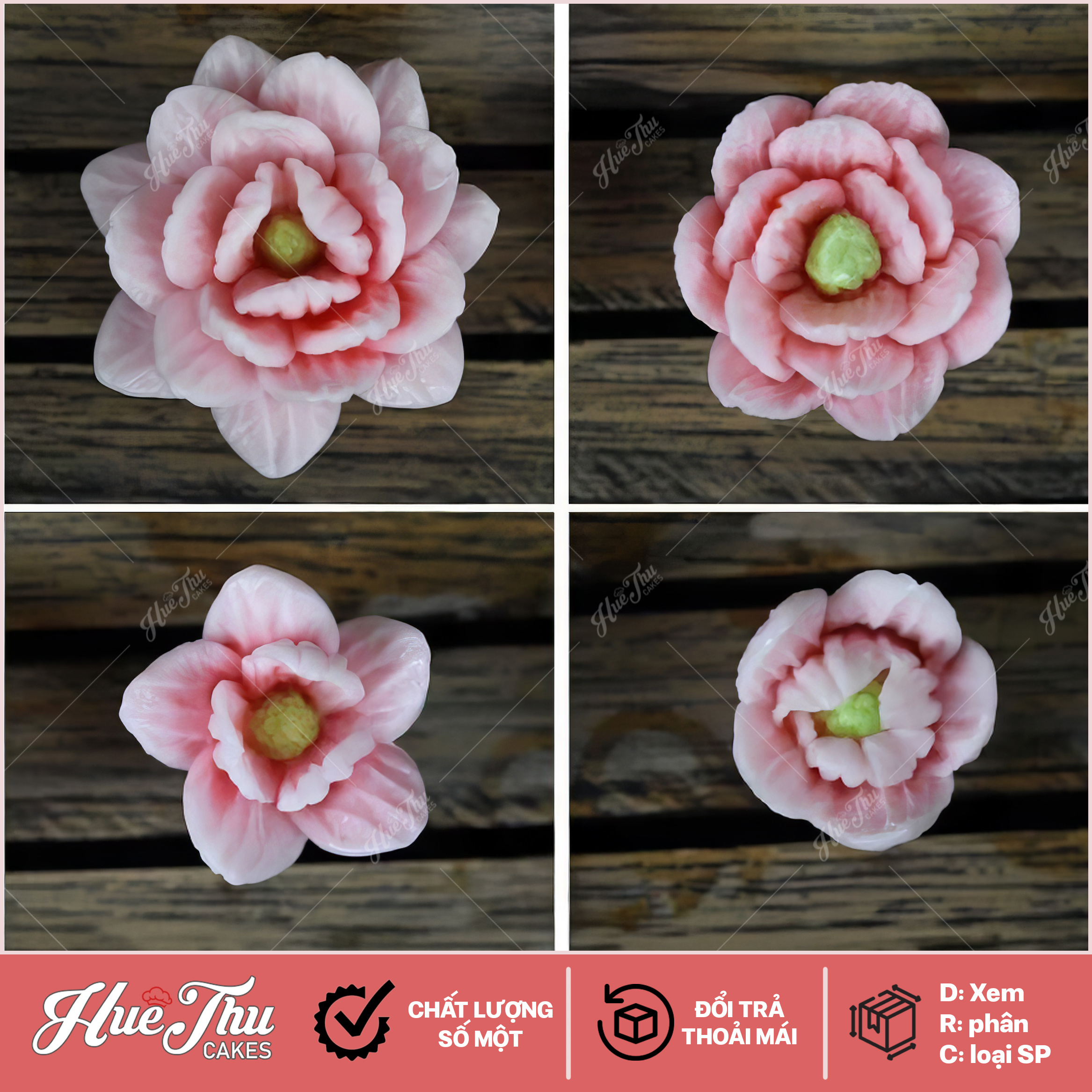 Bộ 4 khuôn silicon Hoa Thái nhụy tròn cánh nhọn (P15, P16, P17, P18) làm bánh rau câu 3D 4D nhấn xôi, fondant, socola, nến hanmade